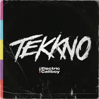 electric-callboy-tekkno-lp-cd