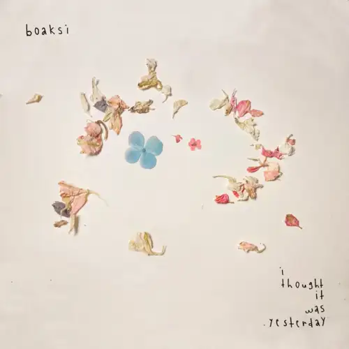 boaksi-i-thought-it-was-yesterday-lp-2x12