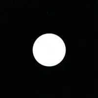 ammon-contact-i-in-an-infinity-of-ways-lp