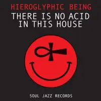 hieroglyphic-being-there-is-no-acid-in-this-house-lp-2x12