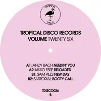 various-tropical-disco-records-vol-26_image_1
