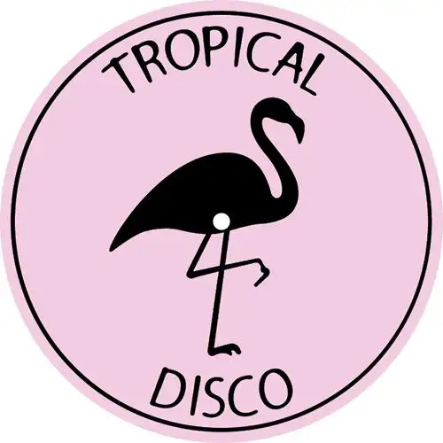 various-tropical-disco-records-vol-26_medium_image_4