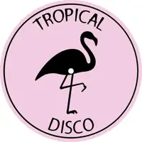 various-tropical-disco-records-vol-26_image_4