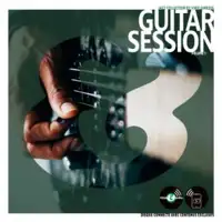 various-artists-vinyl-and-media-guitar-session