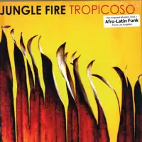 jungle-fire-tropicoso