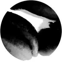 various-artists-temporal-variation-va001