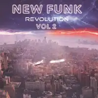 new-funk-revolution-vol-2