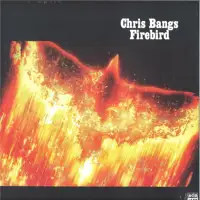 chris-bangs-firebird