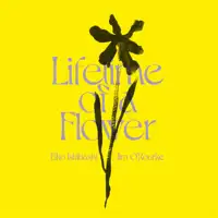 eiko-ishibashi-jim-o-rourke-lifetime-of-a-flower_image_1
