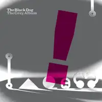 the-black-dog-the-grey-album-2x12