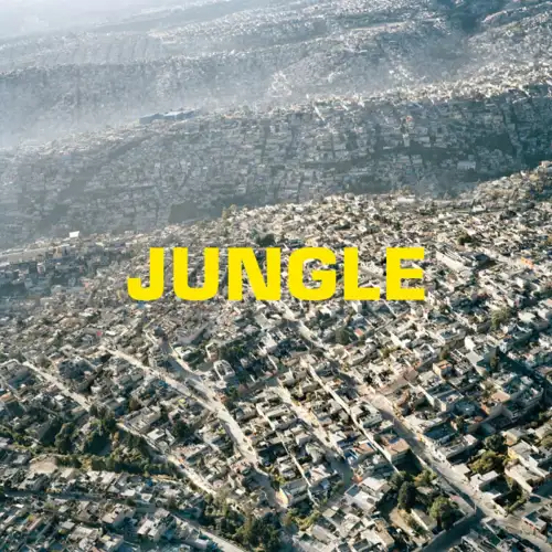 the-blaze-jungle-lp