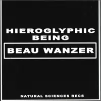 beau-wanzer-hieroglyphic-being-dysfunctional-psychotic-release-sonic-reprogramming-purposes