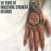various-30-years-of-industrial-strength-records-2x12