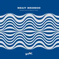 beat-bronco-organ-trio-another-shape-of-essential-sounds-lp