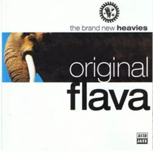 the-brand-new-heavies-original-flava-lp