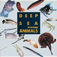 various-deep-sea-animals-original-soundtrack-lp