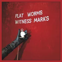 flat-worms-witness-marks