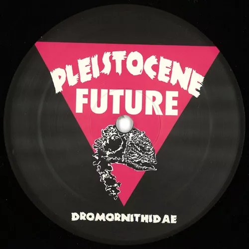 dario-evangelista-pleistocene-future-4