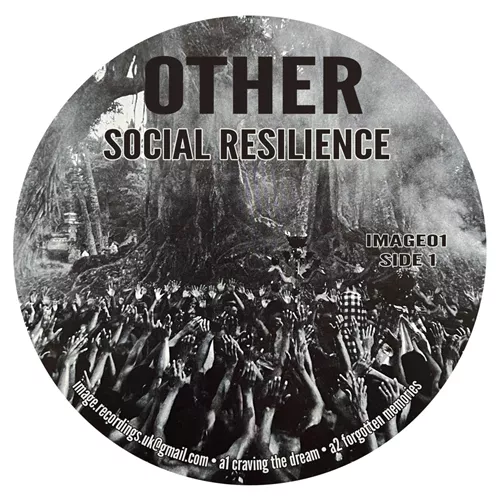 other-social-resilience