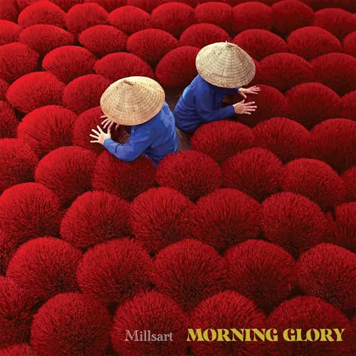 millsart-morning-glory